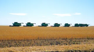 Капитал - В Акмолинской области собрано почти 3 млн тонн зерна