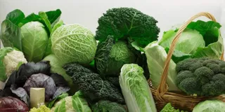 Капитал - В Алматы за месяц капуста подорожала почти на 70%