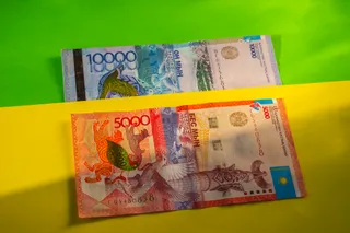 Фото: Валерия Змейкова