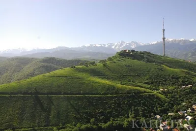 Алматинцы 12 июля ощутили землетрясение