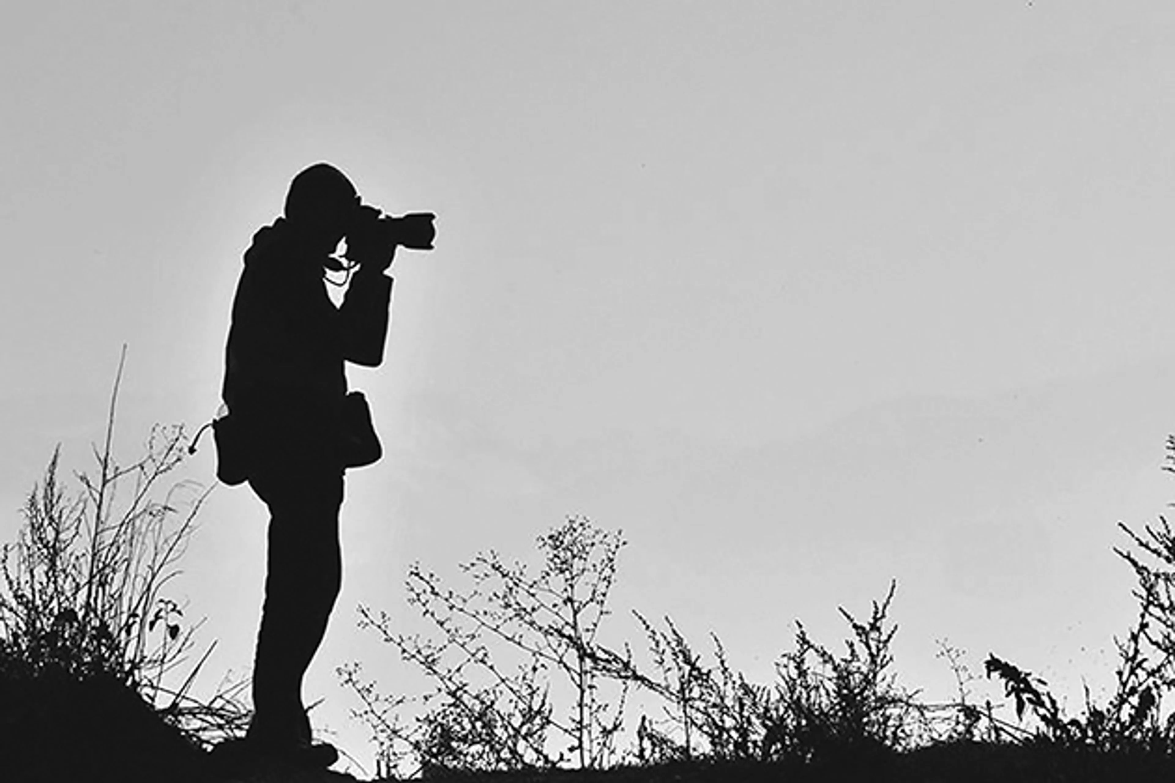 Капитал - Почему нарушение авторских прав в РК не считается преступлением