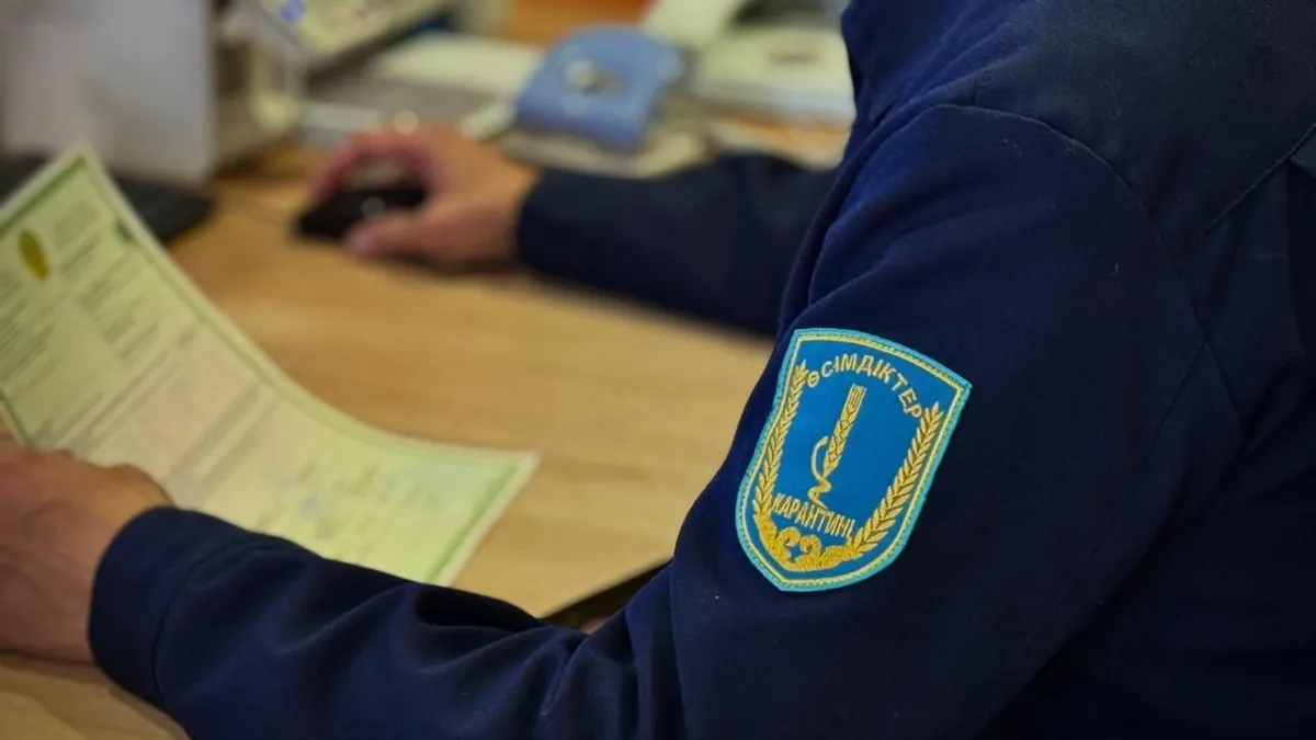 Более 113 тонн продукции не пропустили в Казахстан из Китая