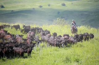 Фото: Руслан Пряников