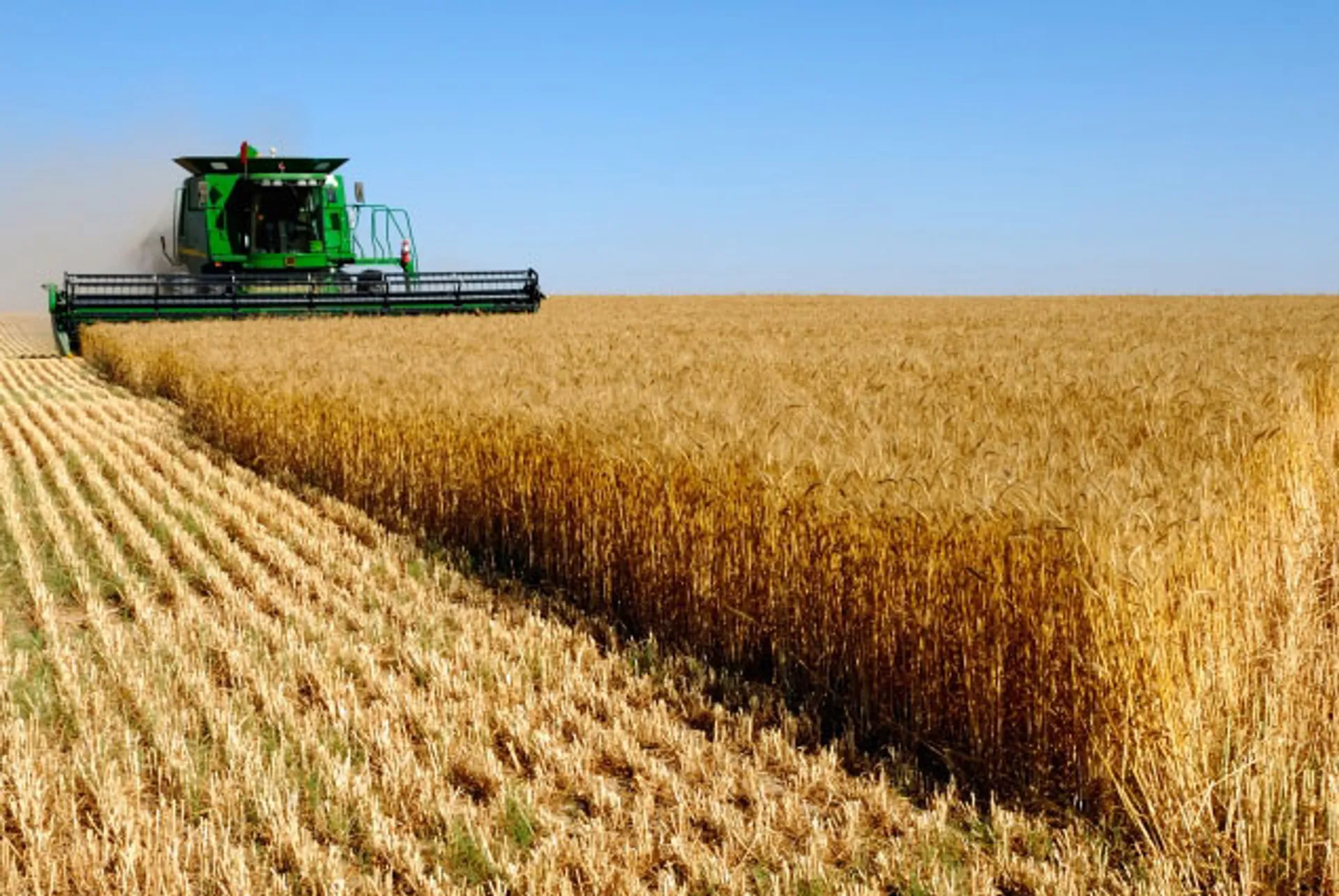 Капитал - Сокращать штат намерены в КазАгро