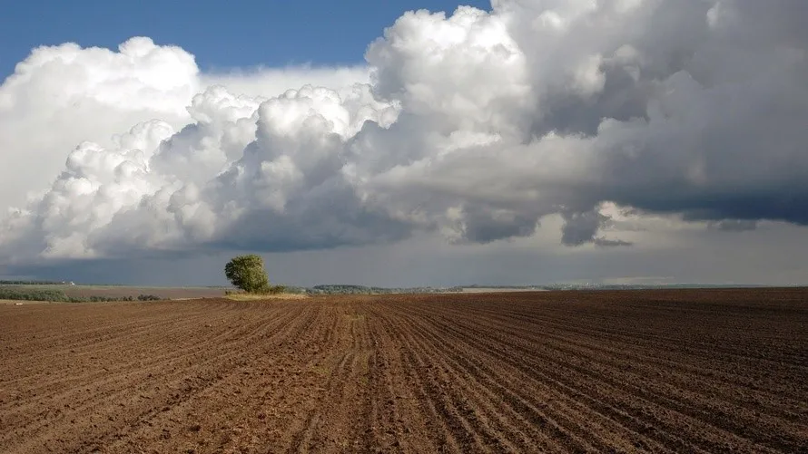 Свыше 606 тысяч га сельхозземель вернули государству
