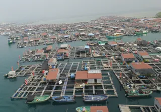 Капитал - Хайнань – восточные Гавайи