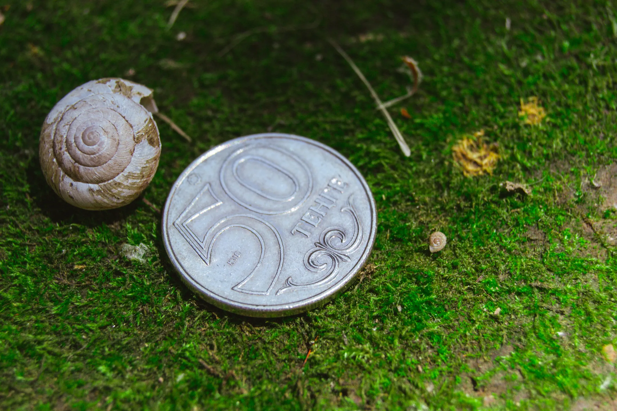 Курс на бирже: 381,89 тенге за доллар - Image Kapital.kz