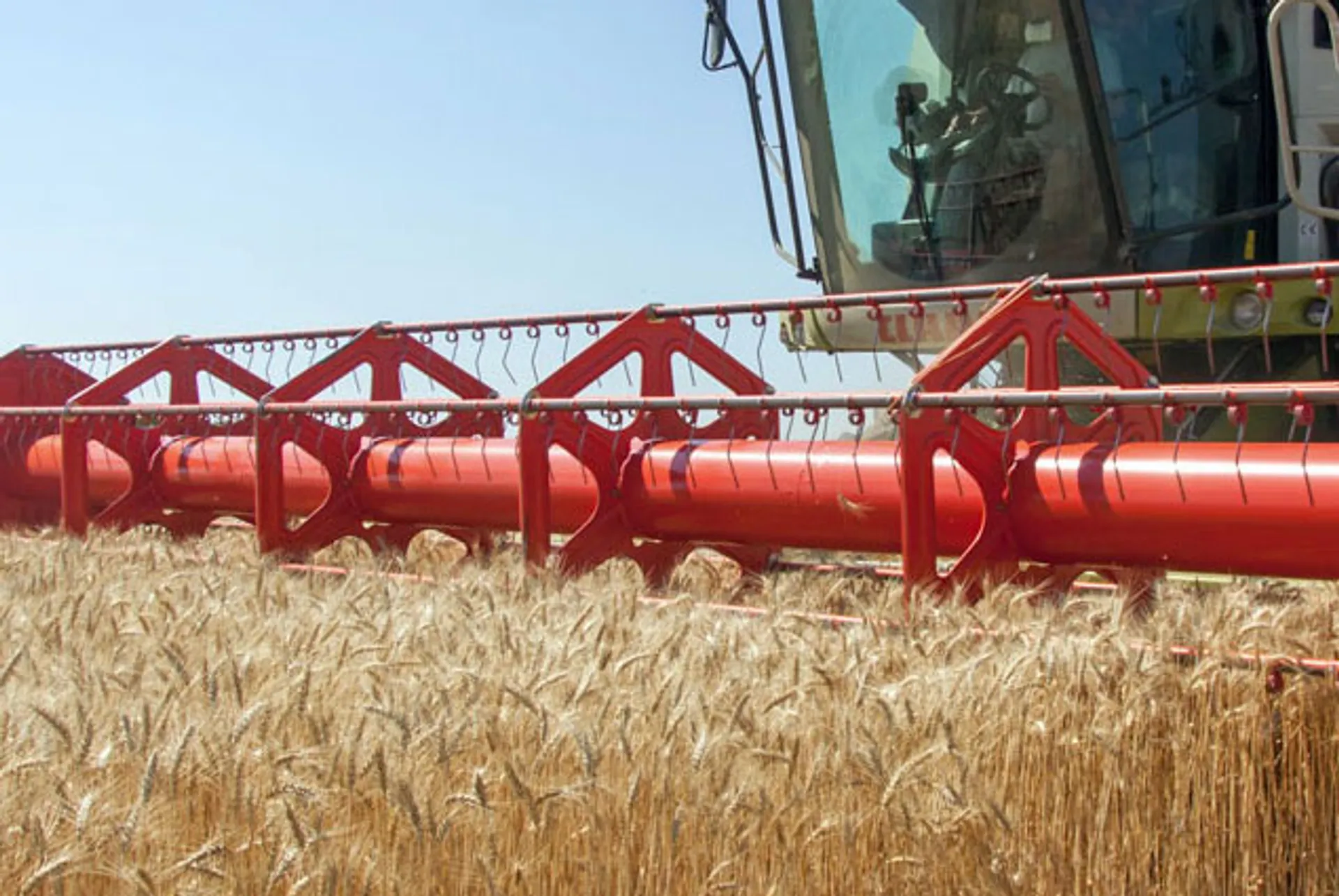 Капитал - Костанайская область вдвое сократила экспорт зерна