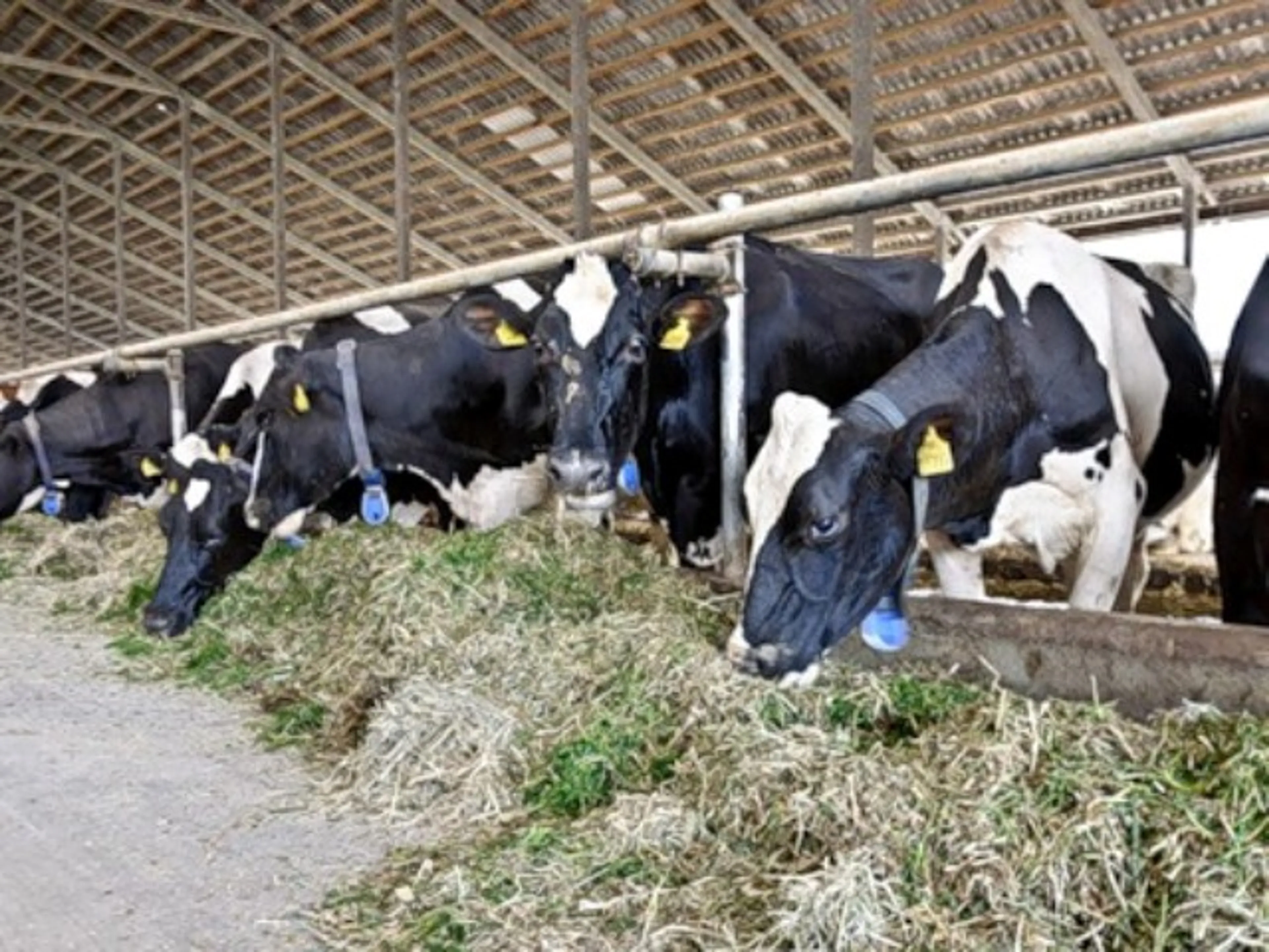 Капитал - Фермеры получили от дочки КазАгро свыше 61 млрд.