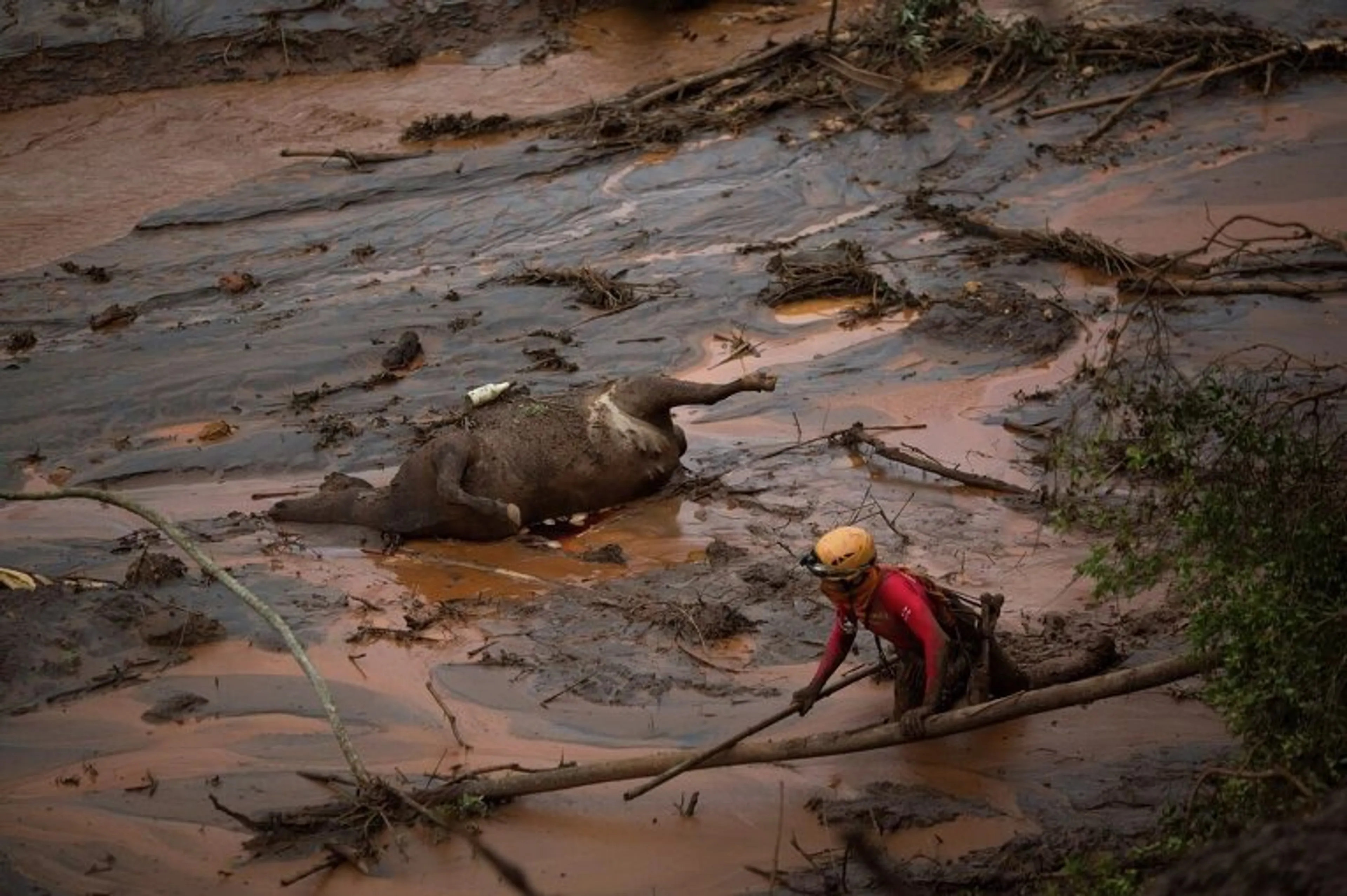 Капитал - Прорыв дамбы в Бразилии: 200 человек пропали без вести