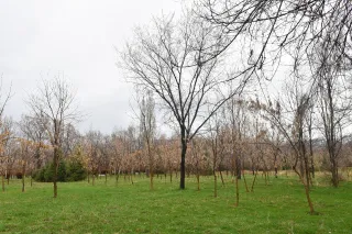 Капитал - В госсобственность вернули парк «Южный» в Алматы
