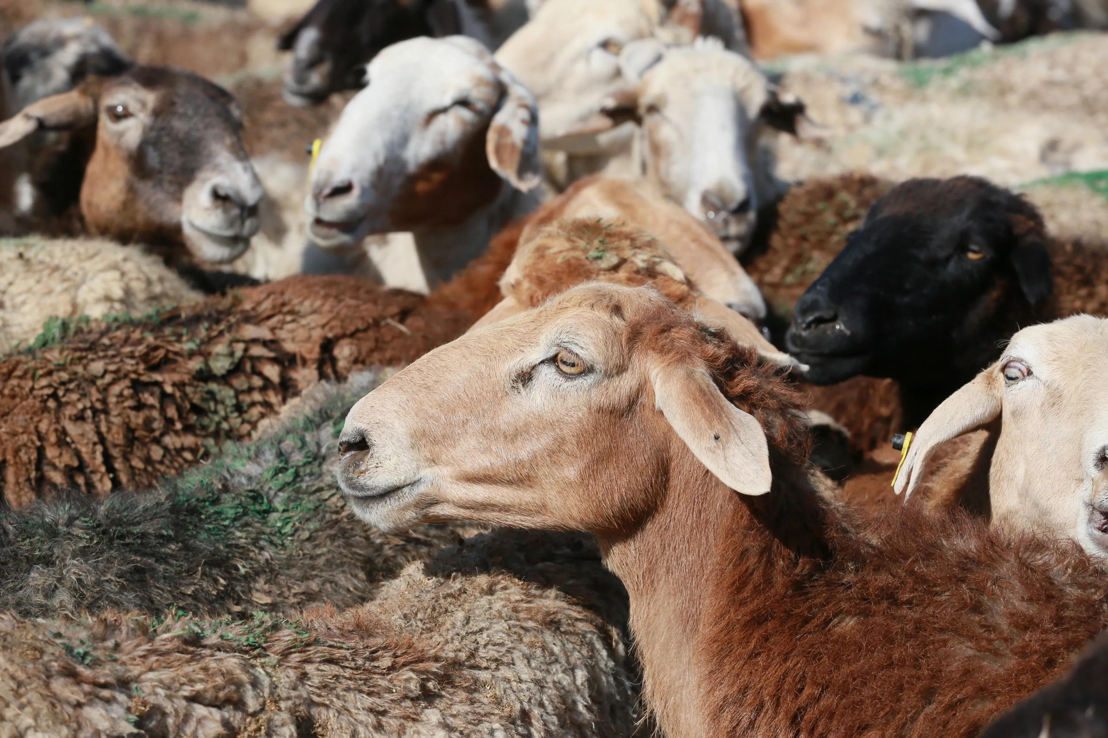 Фото: Руслан Пряников