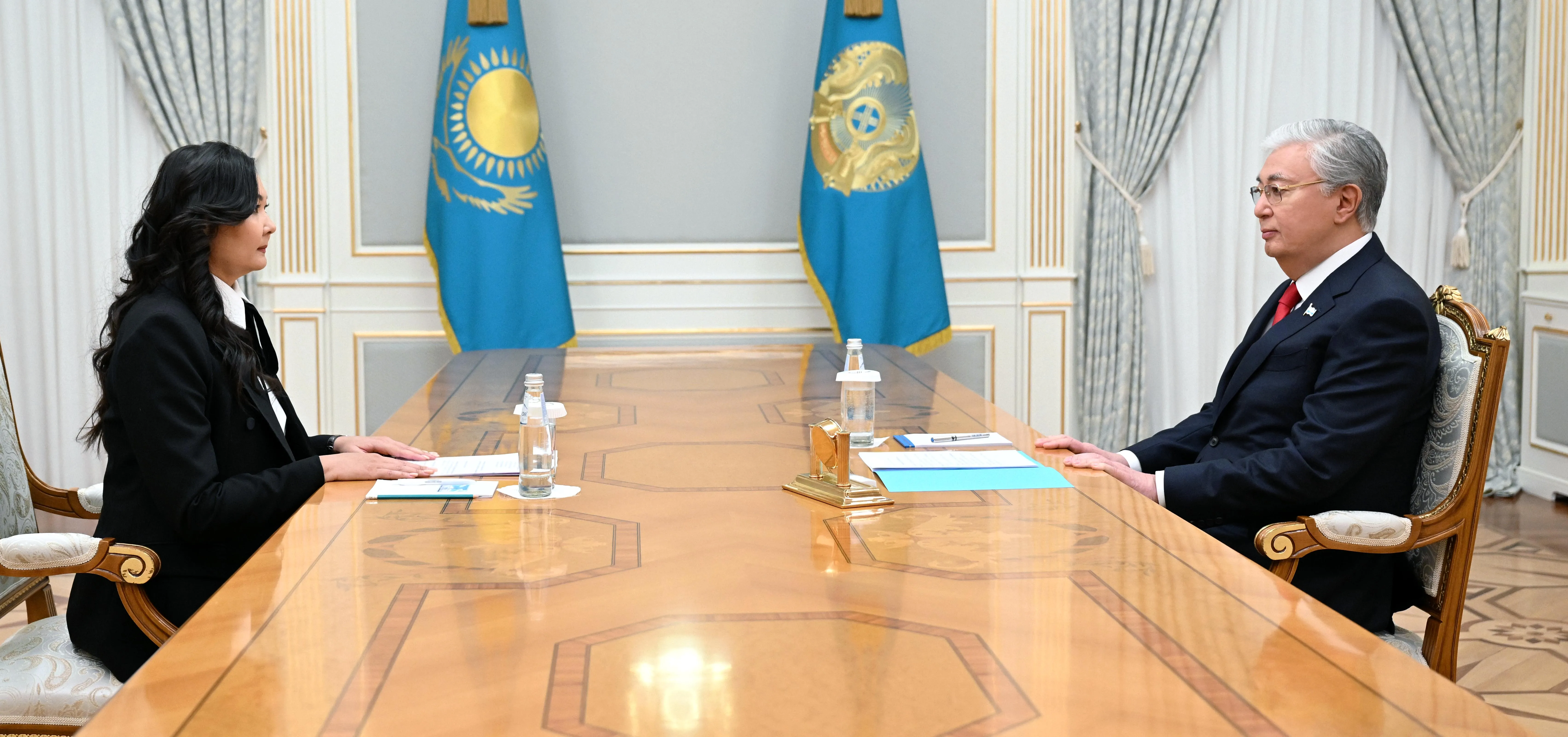 Глава государства принял президента Казахстанской федерации гимнастики  