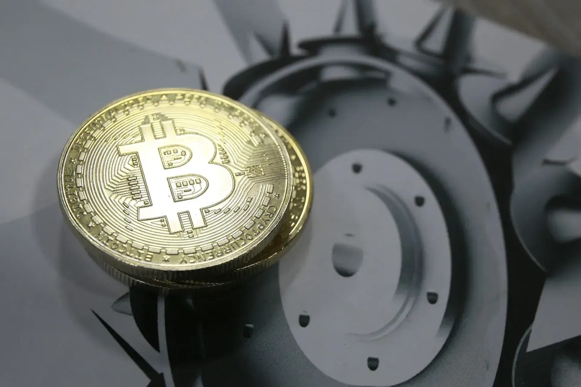 Фото: Руслан Пряников 