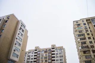 Фото: Валерия Змейкова