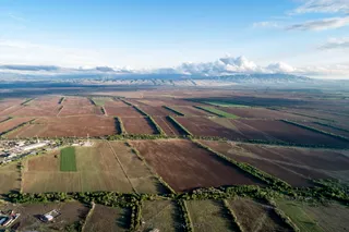 Фото: акимат области Жетысу