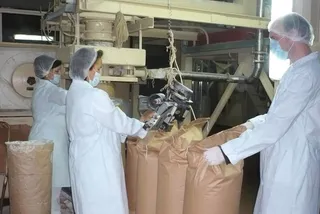 Капитал - В Карагандинской области начали выпускать сухое кобылье молоко