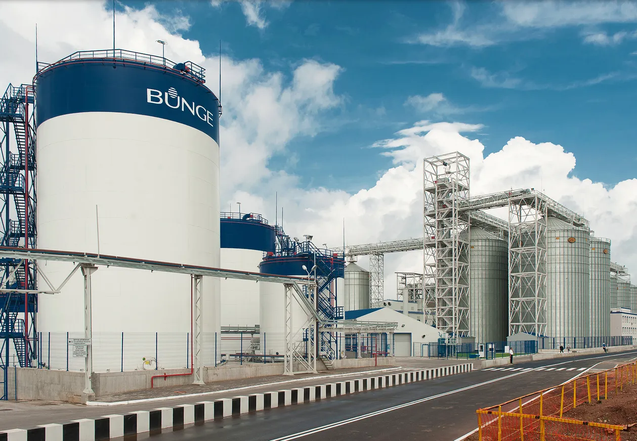 Производитель масла «Олейна» перестрахует риски в Казахстане - фото kapital.kz