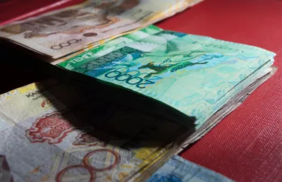 Неизвестные похитили 2 млн тенге из машины депутата