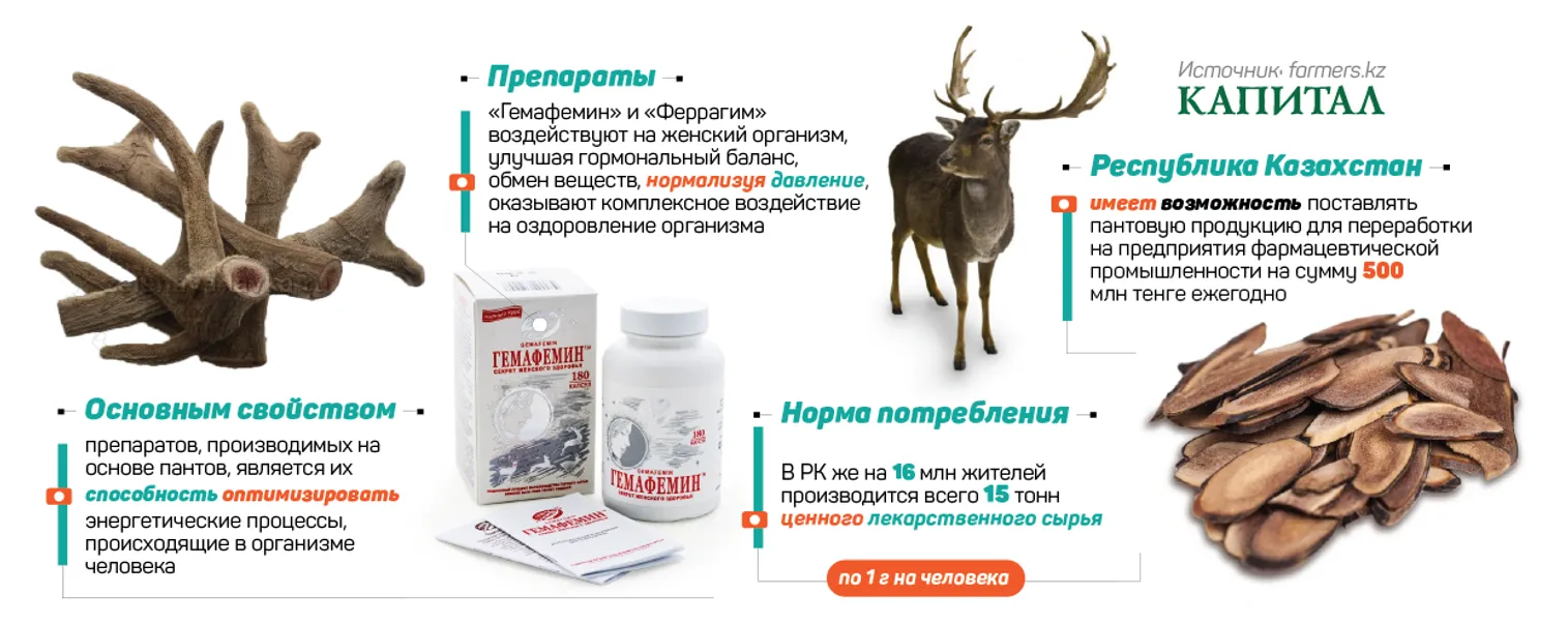 Кто в Алматинской области зарабатывает на пантах - фото kapital.kz