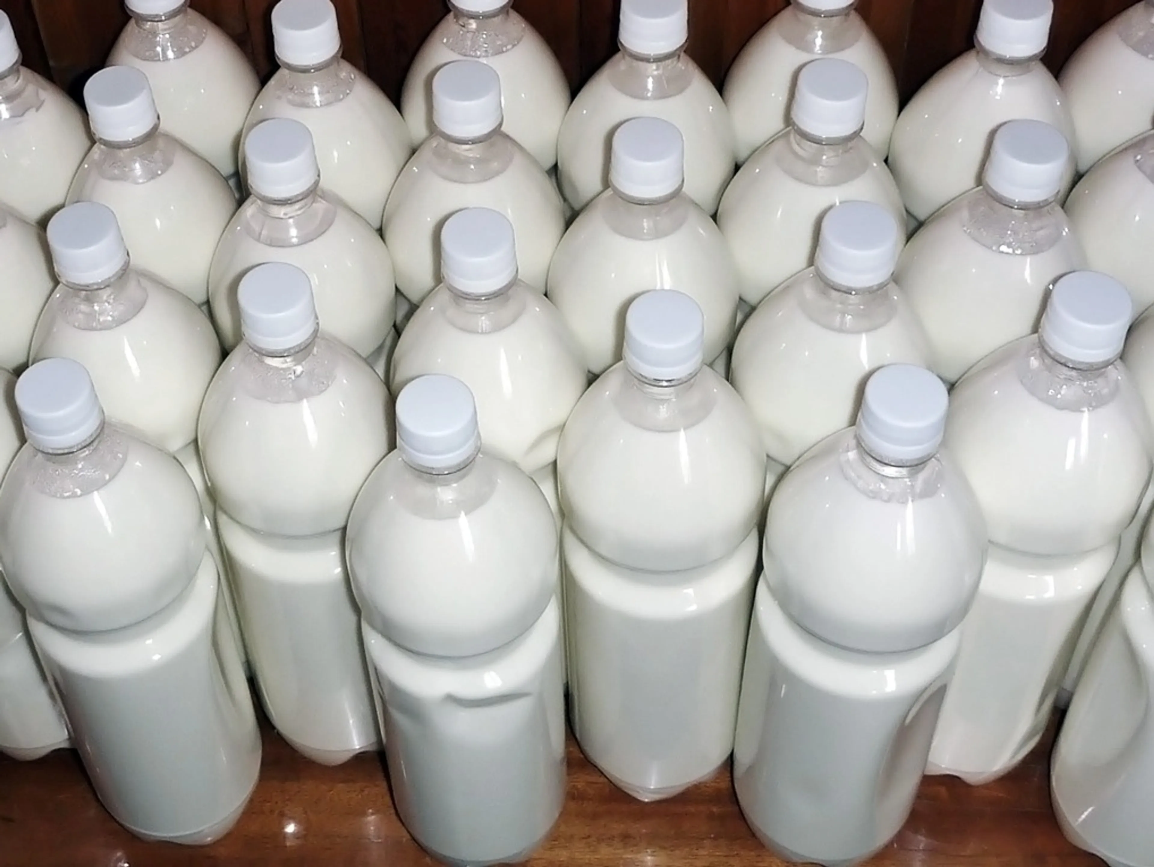 Капитал - Казахстан и Кыргызстан не договорились о ввозе молока