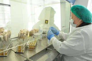 Капитал - Пять вакцин против COVID-19 разработали казахстанские ученые