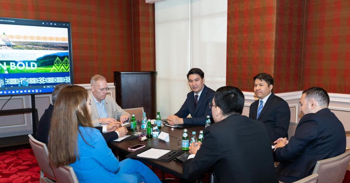 Казахстан на 75% нарастил экспорт баранины в Катар - новости Kapital.kz