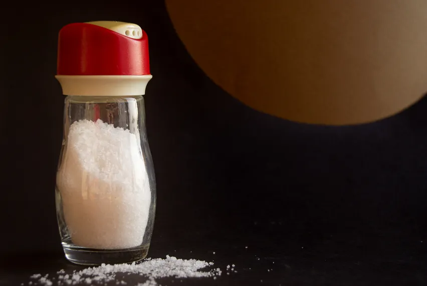 Фото: Валерия Змейкова