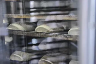 Фото: Владимир Третьяков