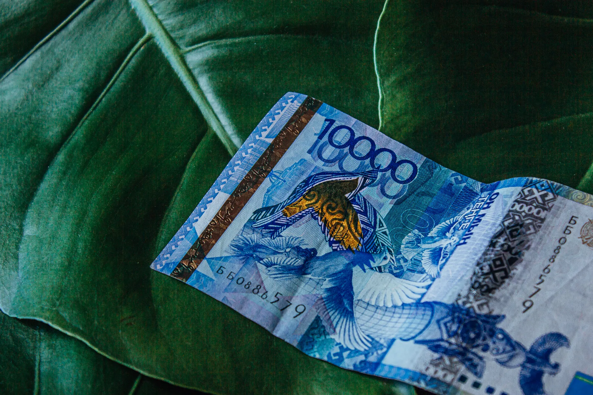 Фото: Валерия Змейкова