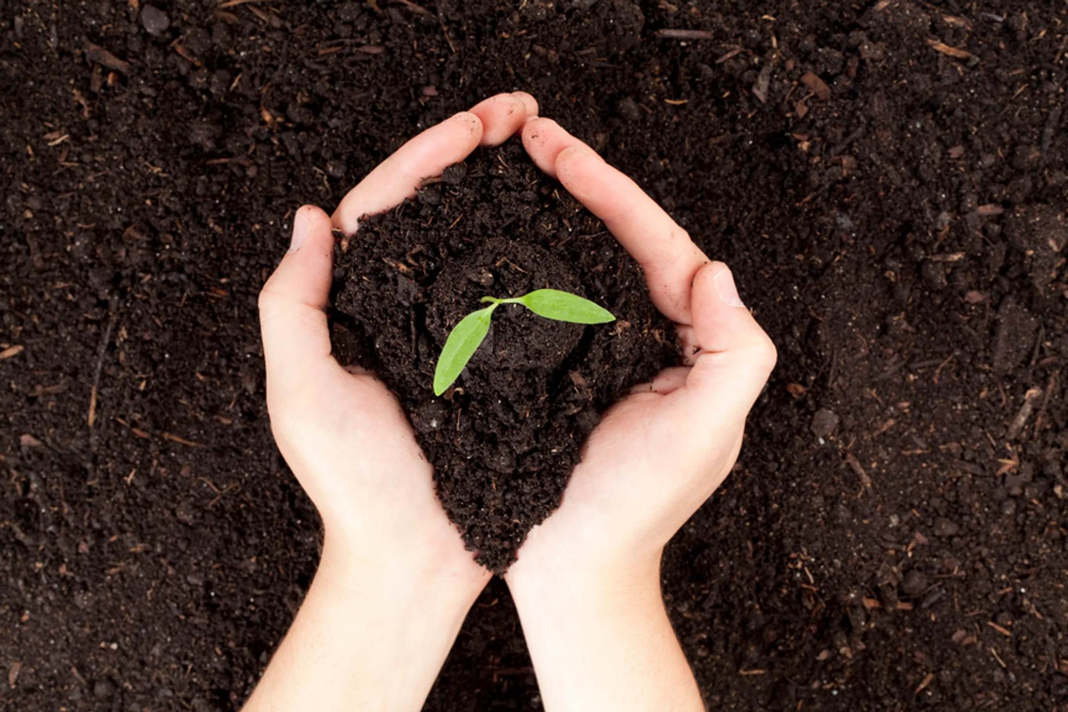 Плодородных земель в Казахстане станет больше - Image Kapital.kz