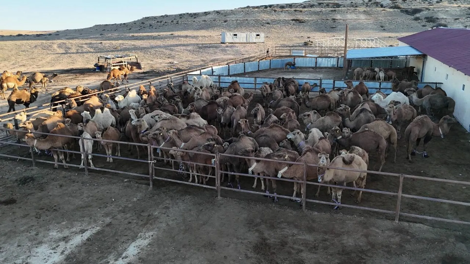 Фото: Министерство сельского хозяйства РК 