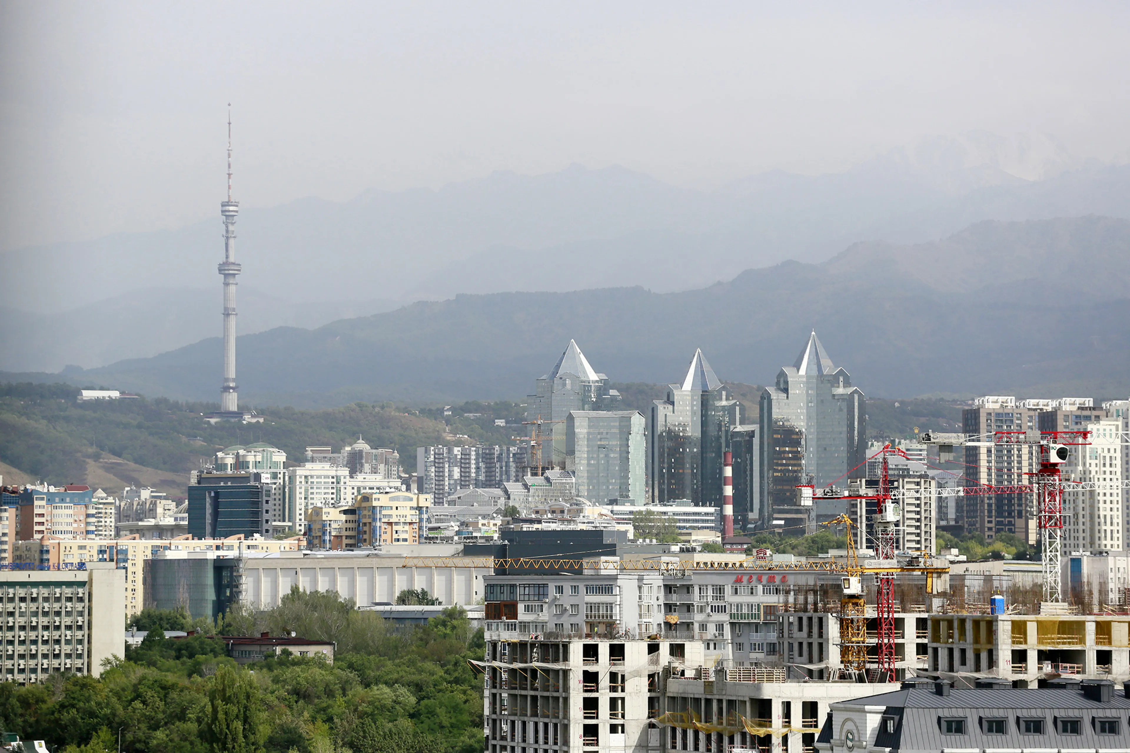 Фото: Руслан Пряников