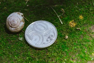 Капитал - Курс на бирже: 381,89 тенге за доллар