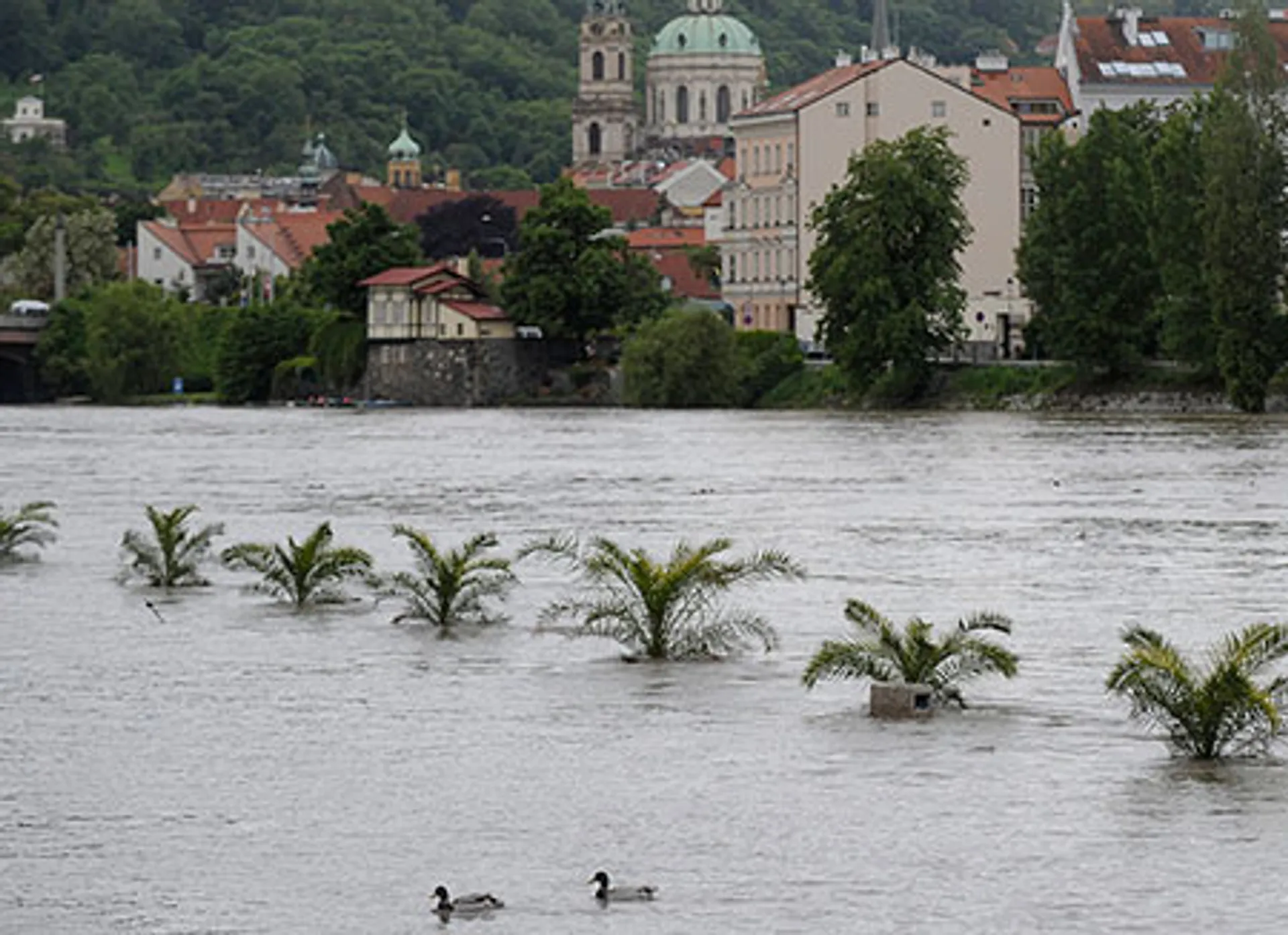 Капитал - 3 погибших, 8 пропавших без вести от наводнения в Европе
