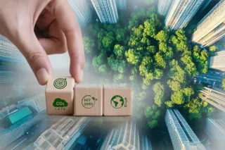 Капитал - По каким вопросам страны не смогли договориться на COP29 в Баку