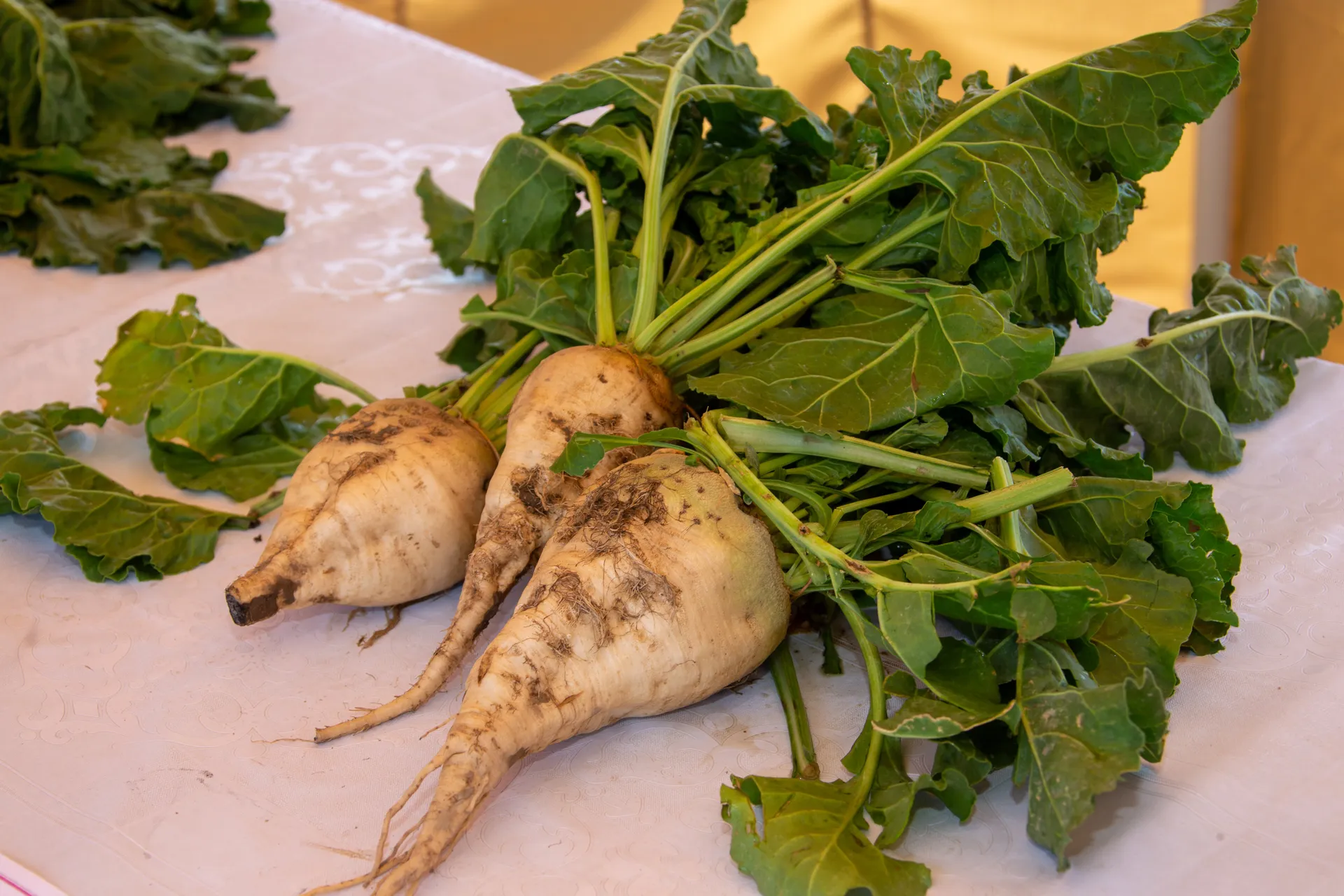 Фото: Дмитрий Ерофеев