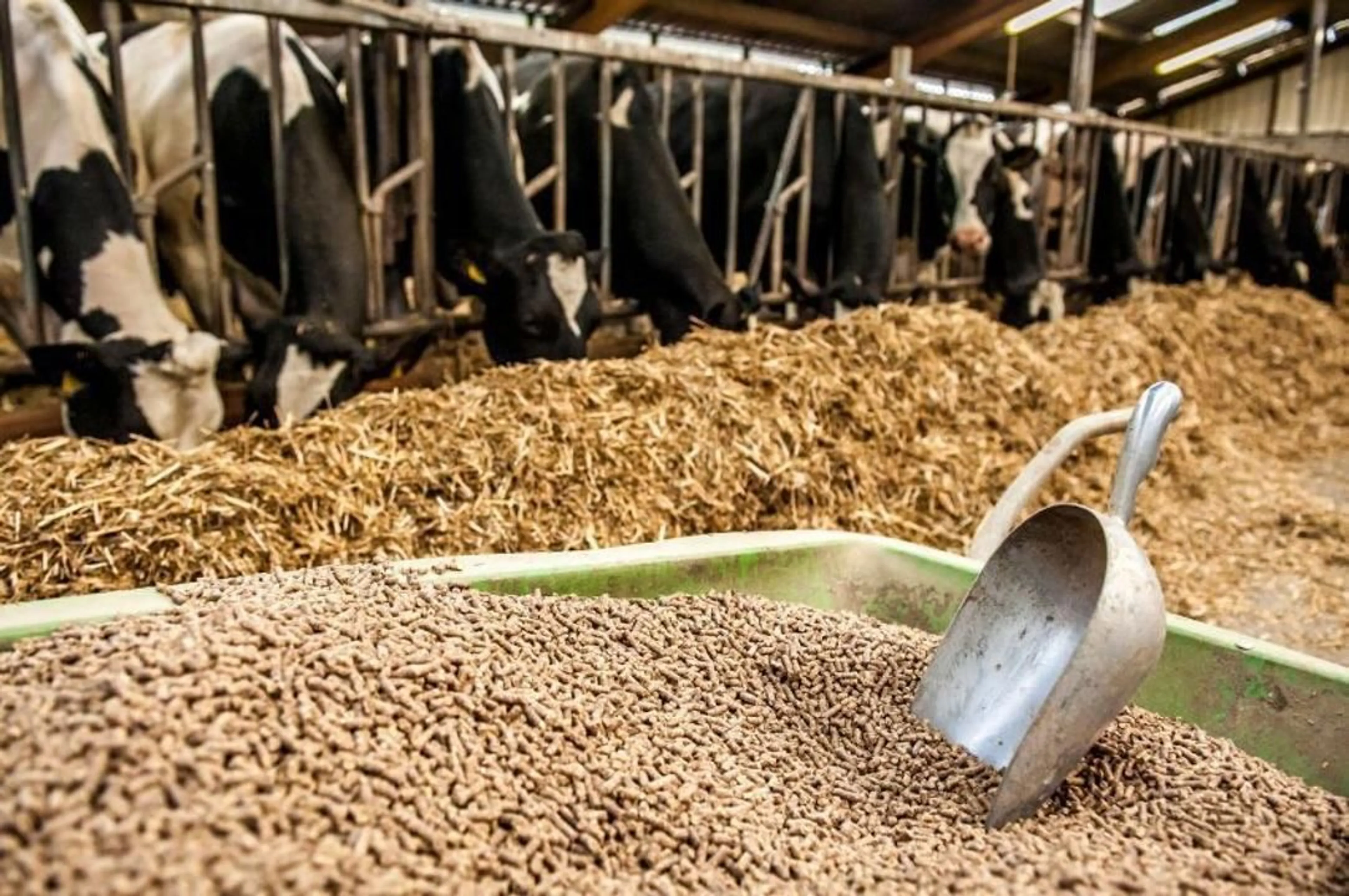 Фото: сайт министерства сельского хозяйства