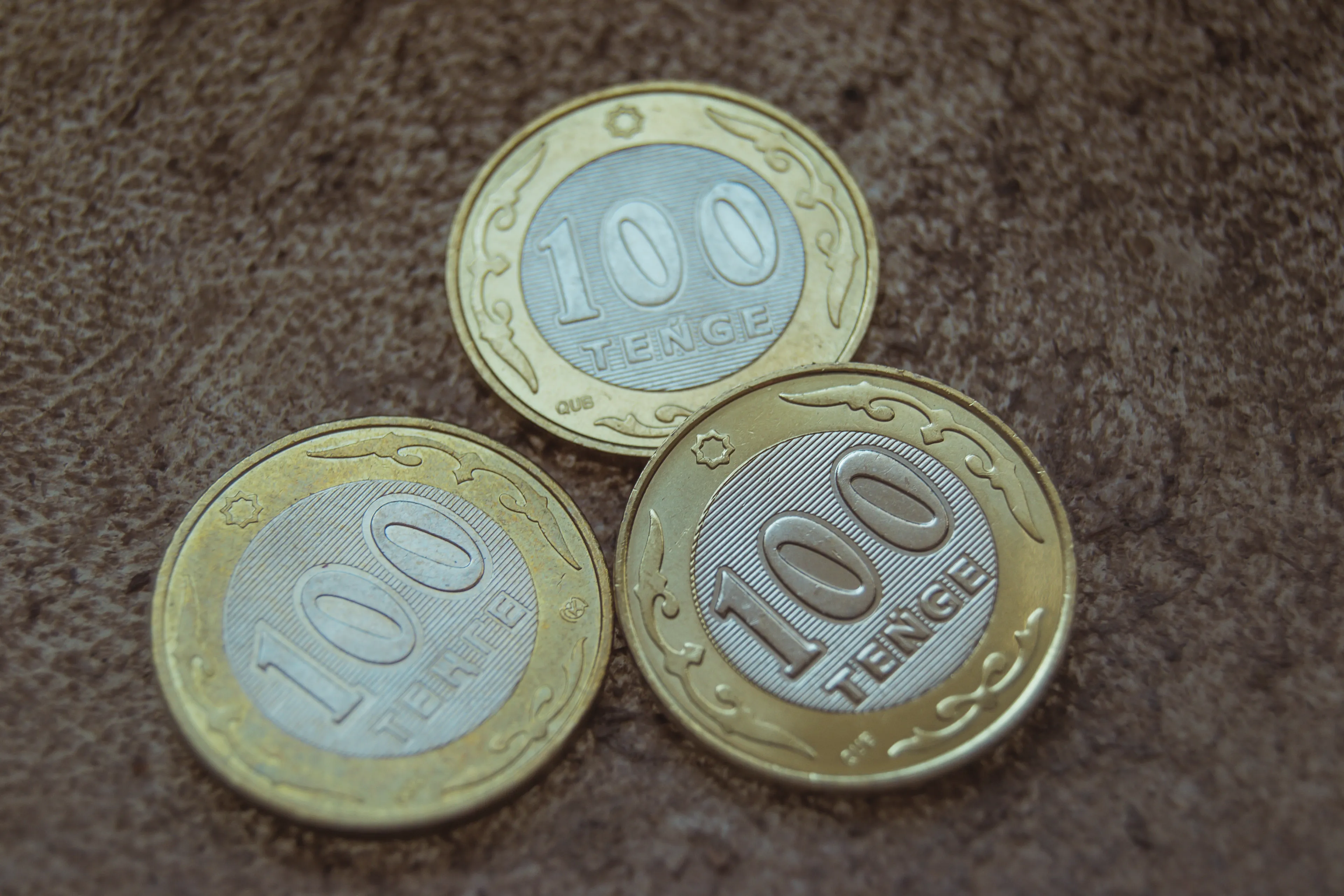 Фото: Валерия Змейкова