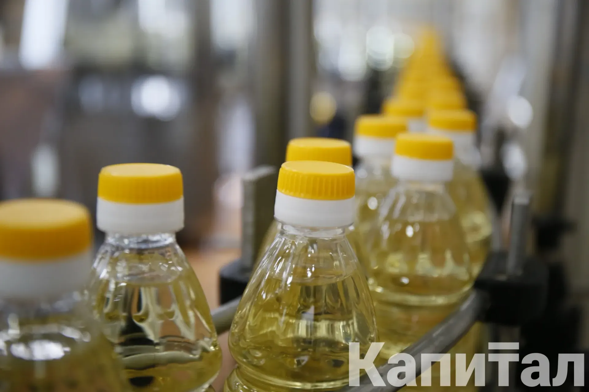 Капитал - Казахстан наращивает поставки подсолнечного масла