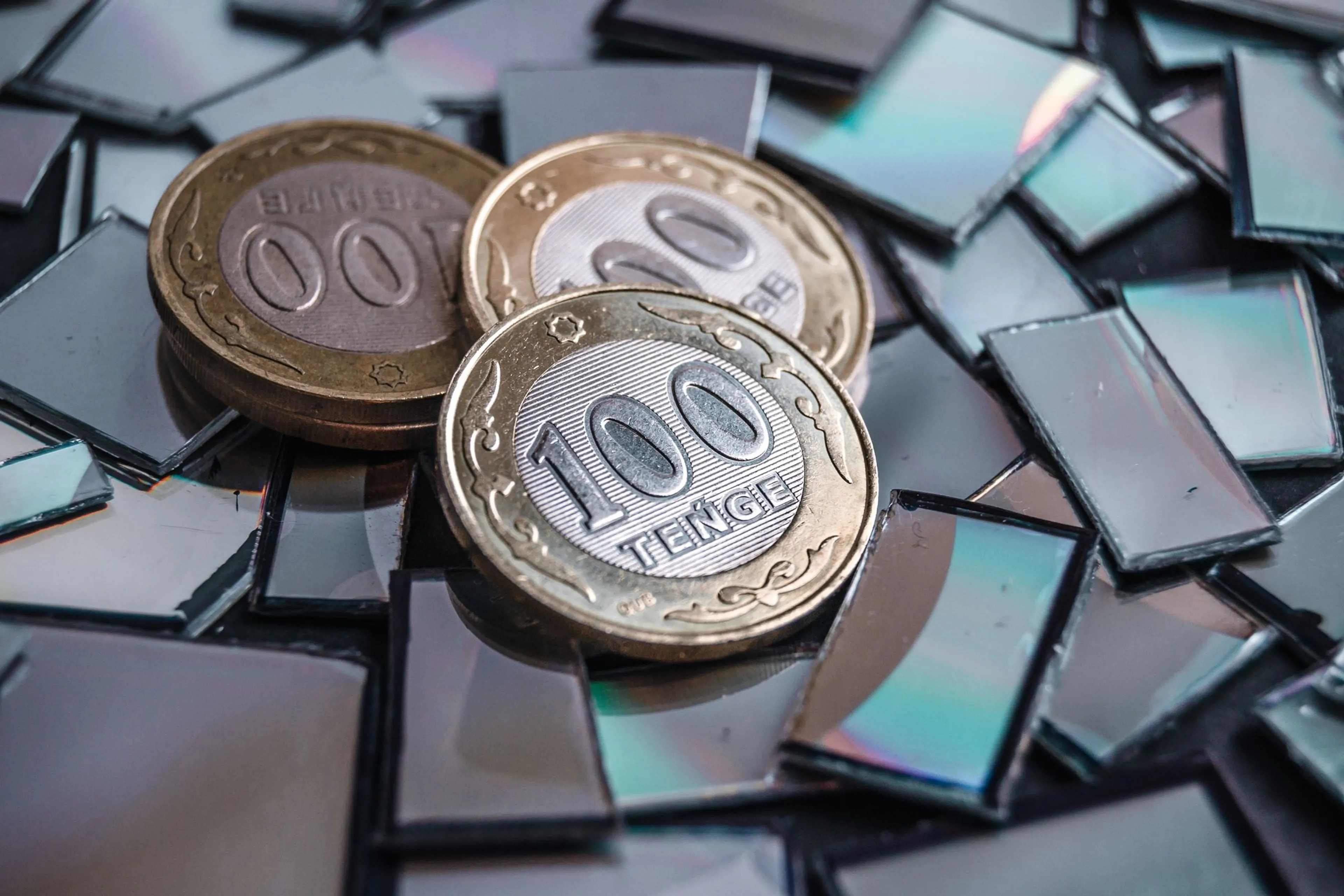 Фото: Валерия Змейкова