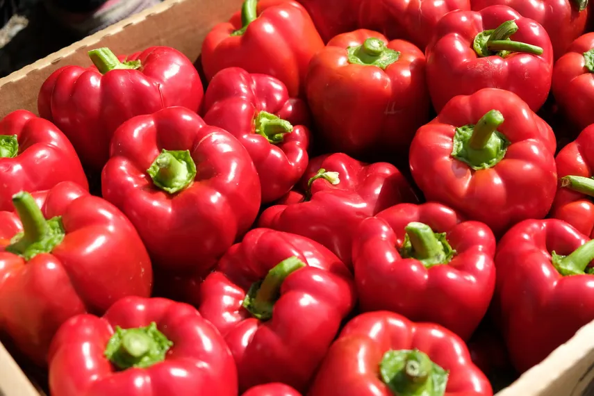 Капитал - Кризис кредитованию аграриев не помеха