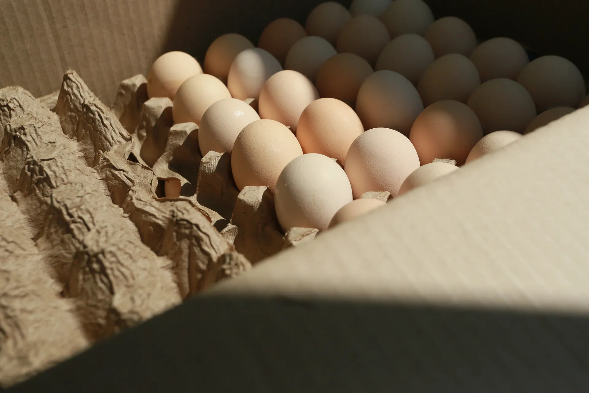 Фото: Руслан Пряников