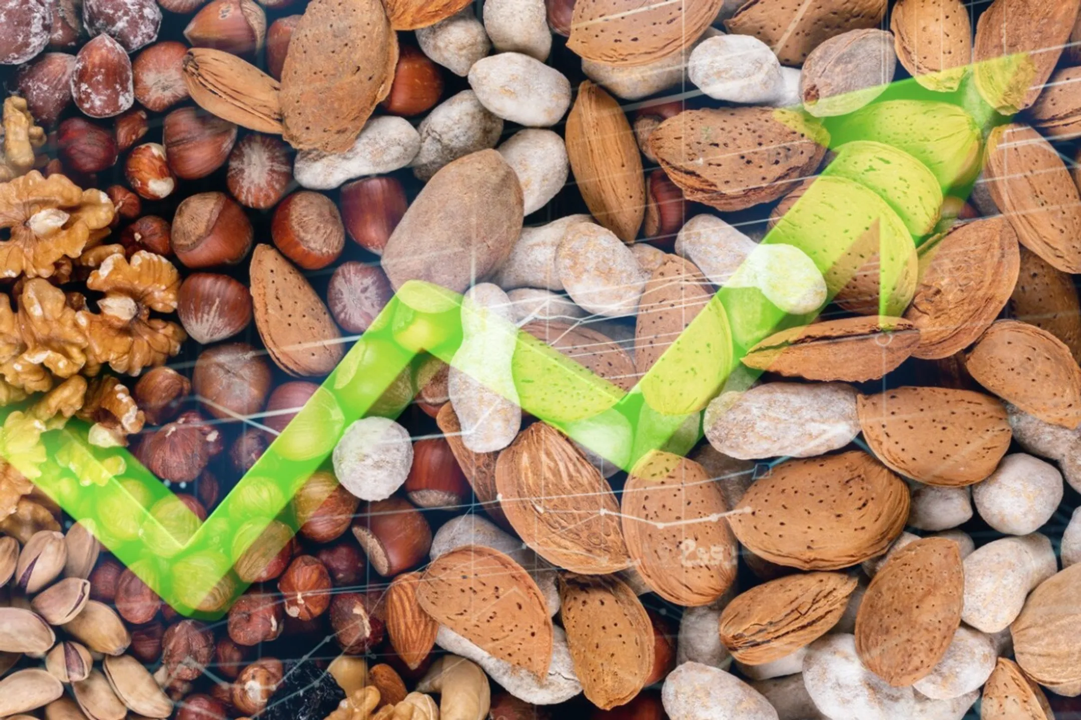 Изображение Kapital.kz