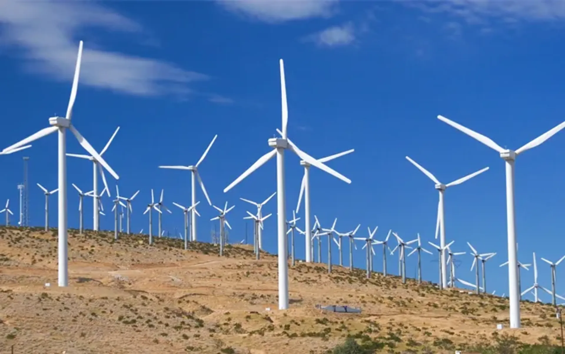 Капитал - Ветровую электростанцию построят в Жамбылской области