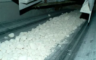 Капитал - Бельгийские инвесторы вложат $55 млн в завод в Карагандинской области