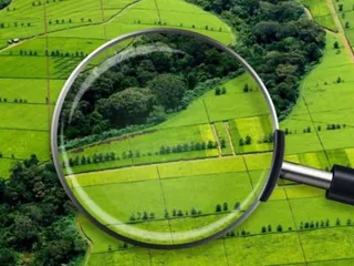 Фото: Комитет по управлению земельными ресурсами РК 