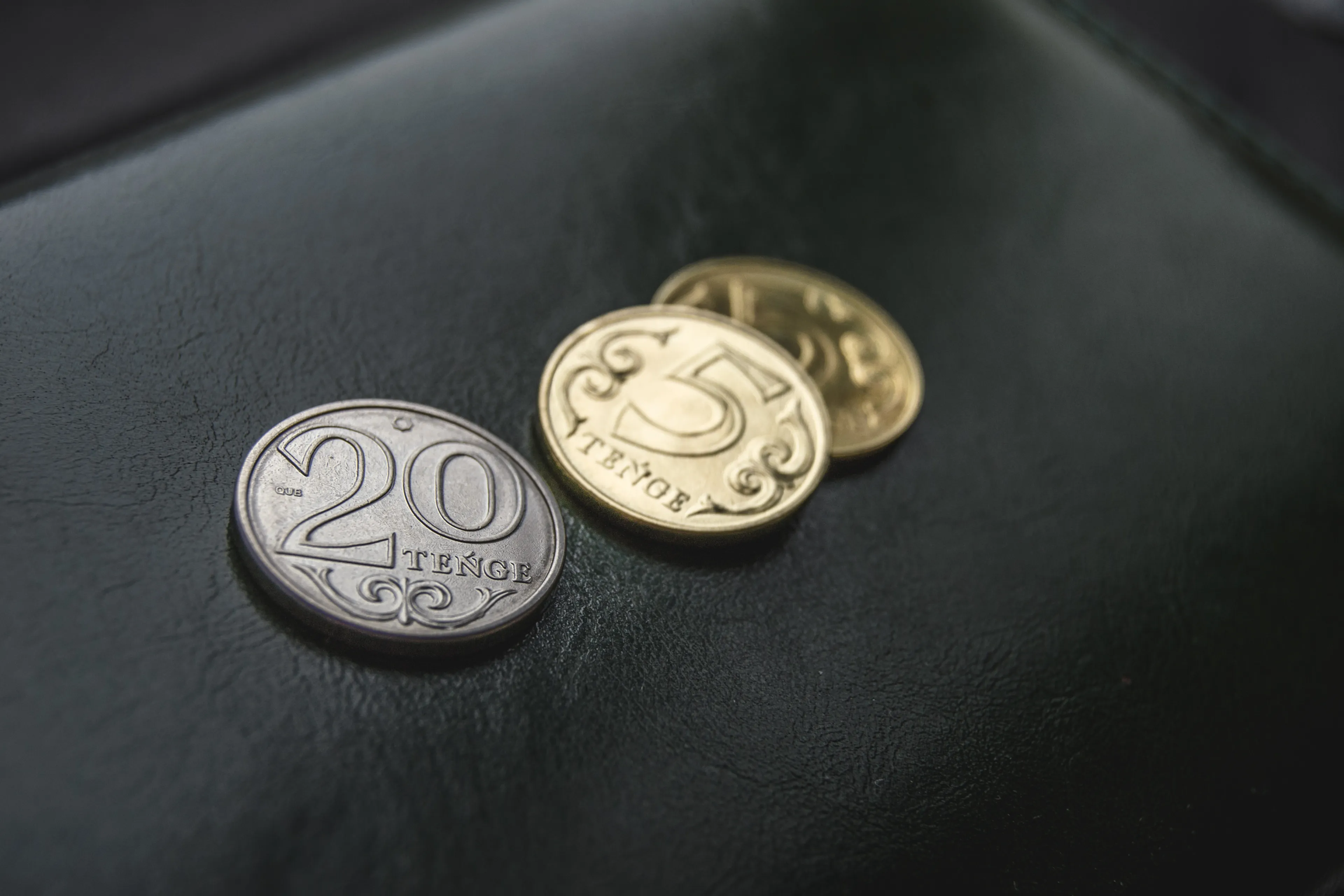 Фото: Валерия Змейкова