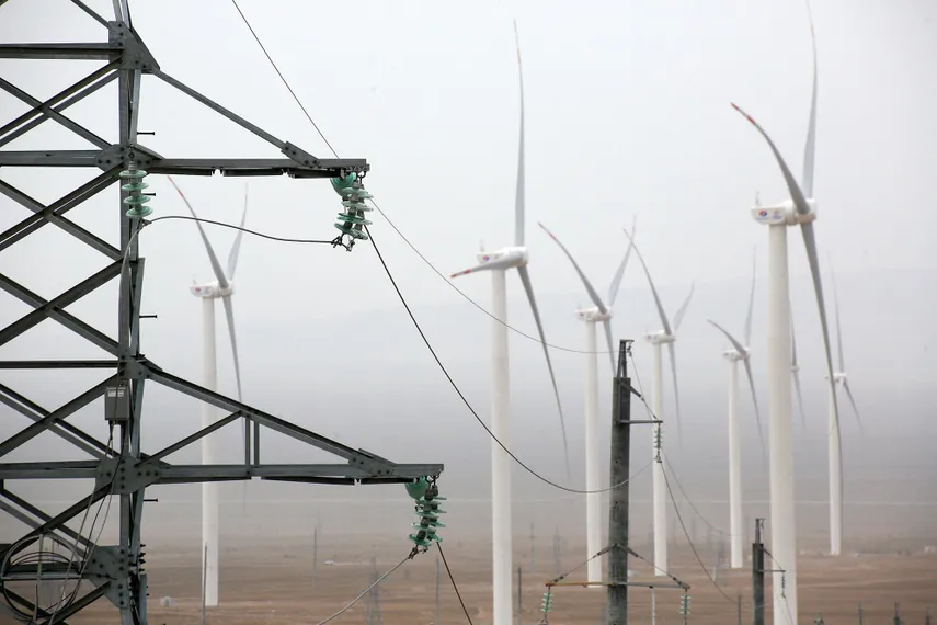 Фото: Руслан Пряников