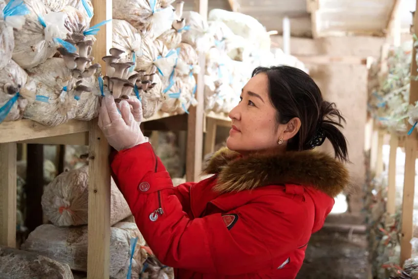 Капитал - Как семья из Алматы открыла свой грибной бизнес